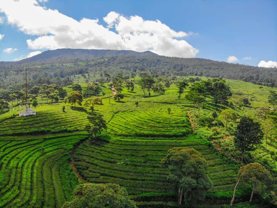 Jakarta: Bandung Volcano Day Tour - Key points at a glance