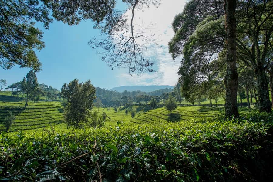 Jakarta: Bandung Volcano Day Tour - Who will enjoy this tour most