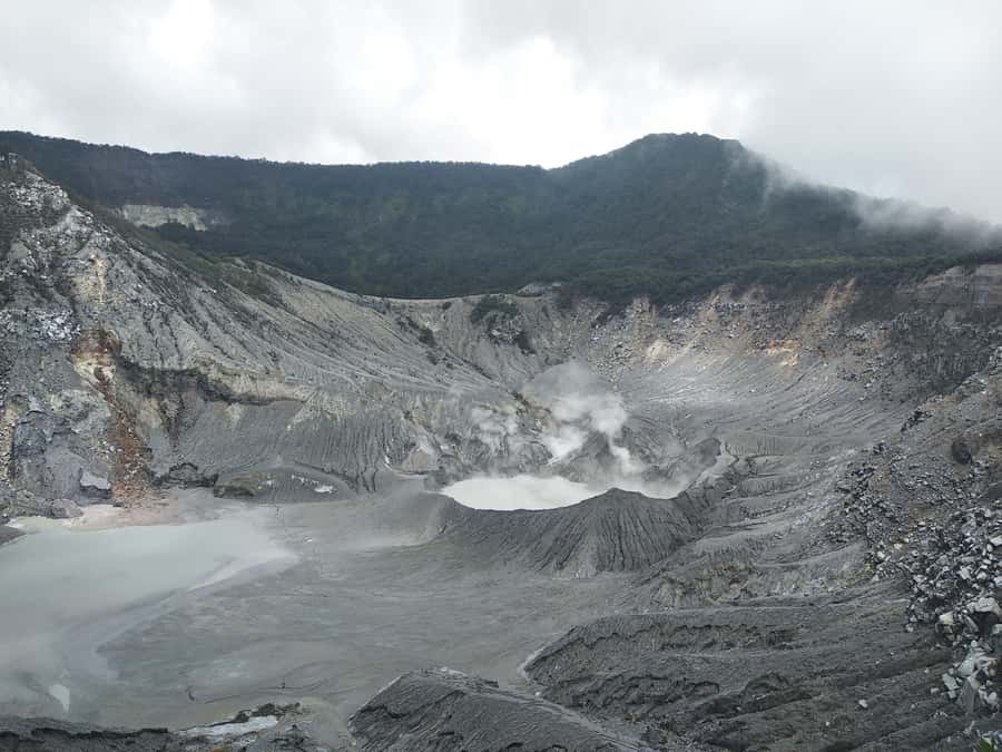 Jakarta :Volcano, HotSpring, Tea Factory, RiceField, &Coffee - Why this West Java day trip works