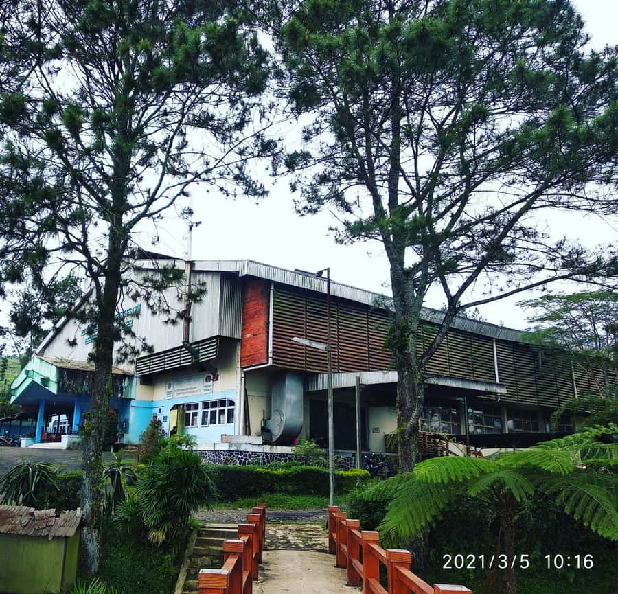 Jakarta :Volcano, HotSpring, Tea Factory, RiceField, &Coffee - Tea at Kebun Teh Ciater
