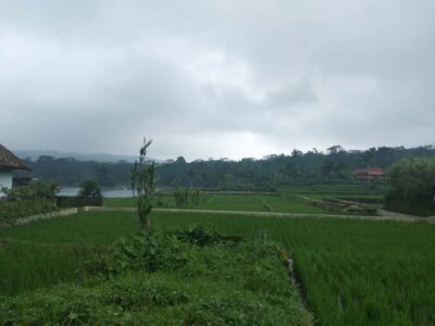 Volcano, HotSpring, Tea Factory, RiceField, &Coffee