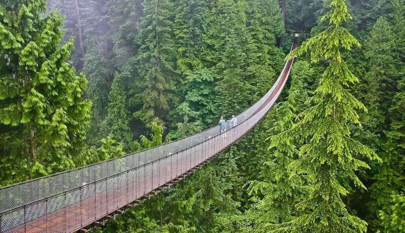 Jakarta: Volcano, Suspension Bridge, and Hot Spring Tour - Why this West Java day trip works