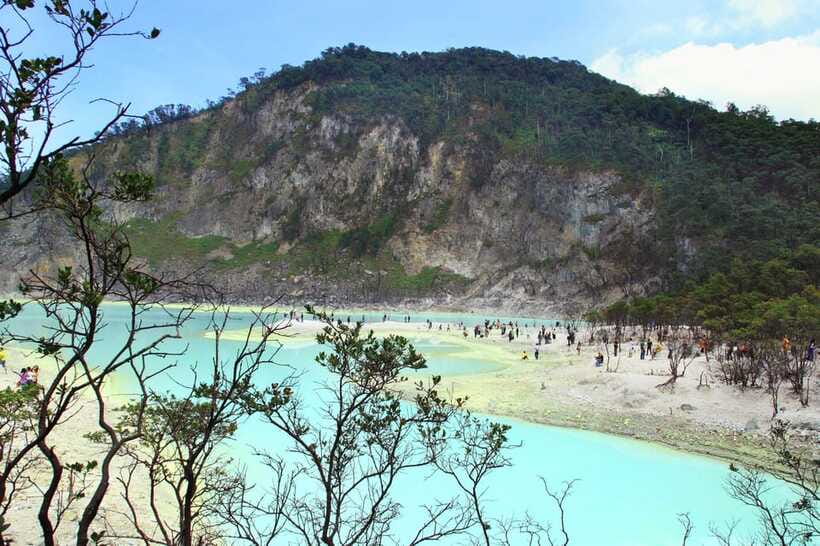 Jakarta: Volcano, Suspension Bridge, and Hot Spring Tour - Tea fields and a taste of West Java