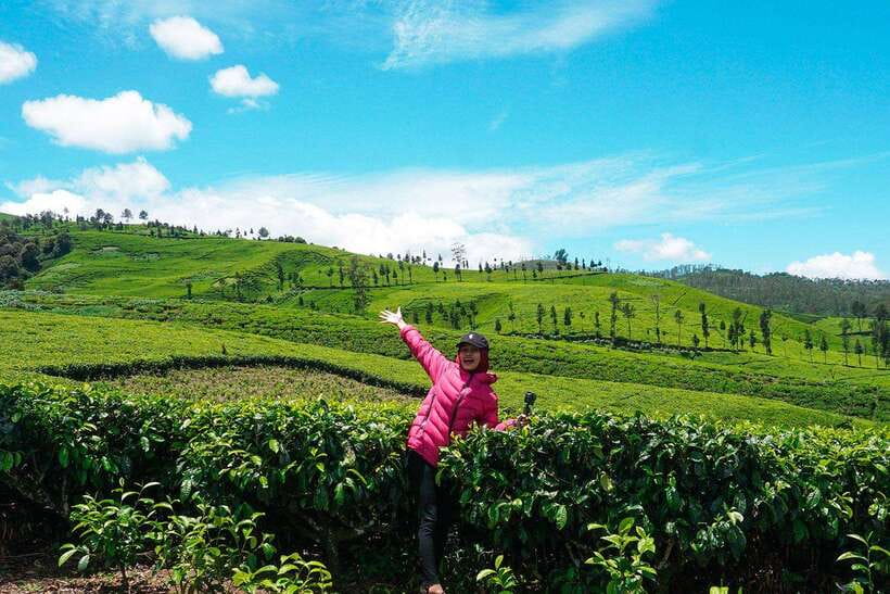 Jakarta: Volcano, Suspension Bridge, and Hot Spring Tour - Who should book this tour?