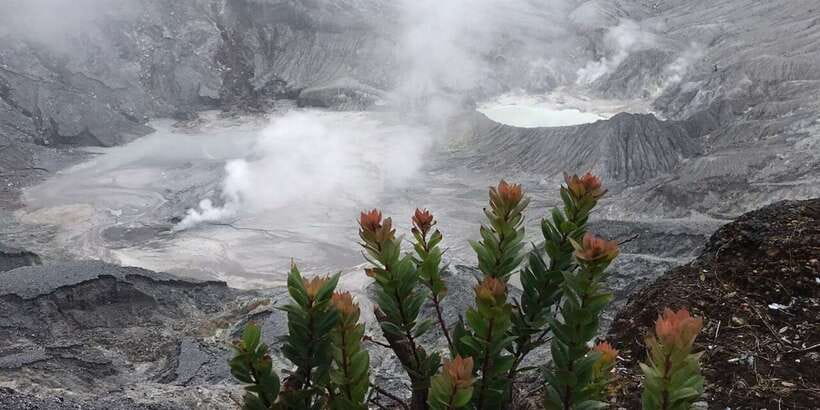 Jakarta: Volcano, Tea/Rice Fields, Hot Spring, Local Food - Key points to know before booking