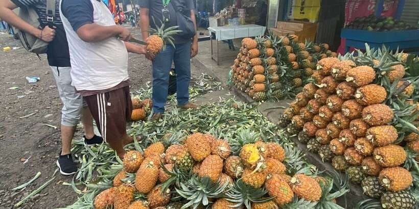 Jakarta: Volcano, Tea/Rice Fields, Hot Spring, Local Food - What the $114 price really covers