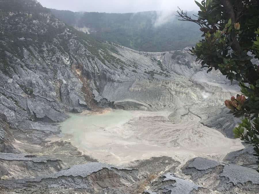 Jakarta: Waterfalls, Volcano, White Crater, Tea, Hot Spring - Key points to know before booking