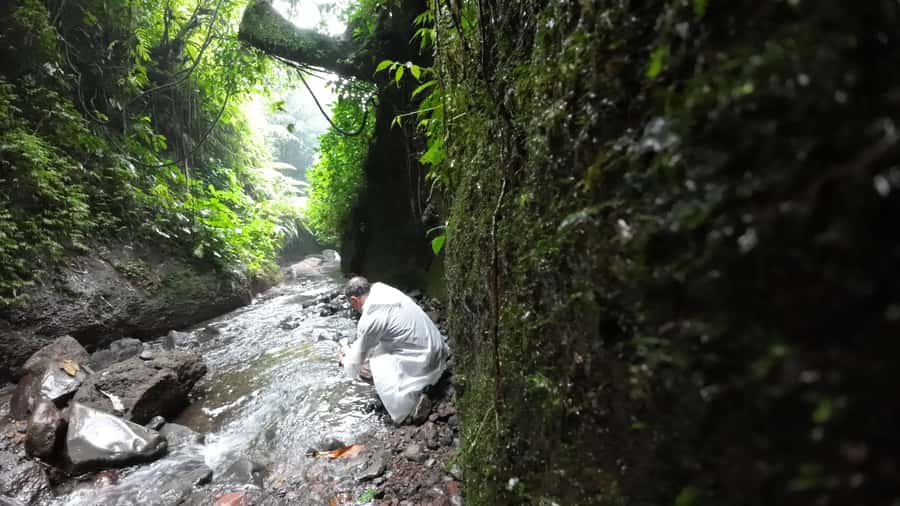 Jakarta: Waterfalls, Volcano, White Crater, Tea, Hot Spring - What the $75 price really covers