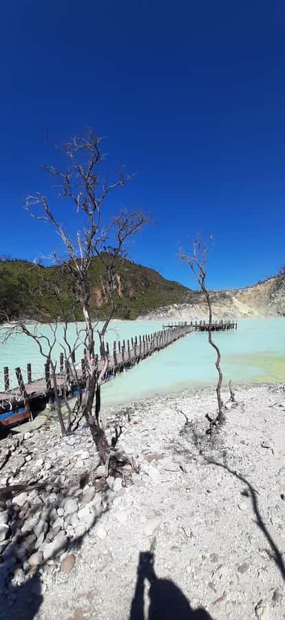 Jakarta: Waterfalls, Volcano, White Crater, Tea, Hot Spring - Tangkuban Perahu, an active volcano with a strong visual payoff