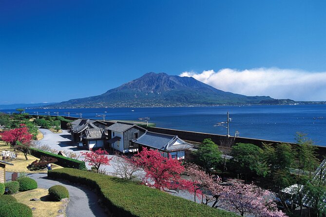 Kagoshima Highlights Private Tour, Sakurajima Volcano and more - Sakurajima Visitor Center: start with the facts