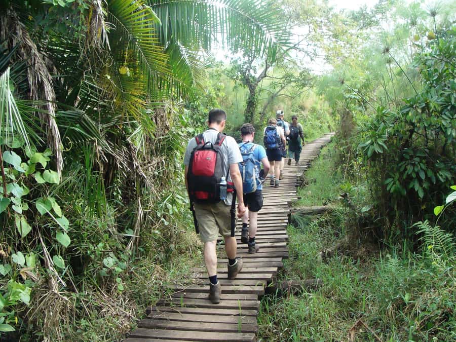 Kibale Forest Park: 3-Day Chimpanzee tracking & Crater lakes - The highlights at a glance