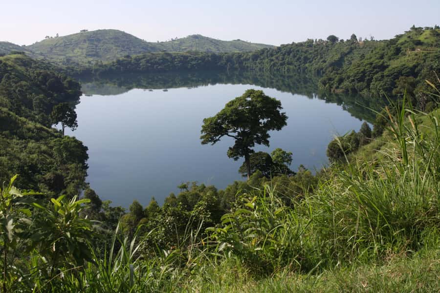 Kibale Forest Park: 3-Day Chimpanzee tracking & Crater lakes - Day 3: Crater lakes and Top of the World