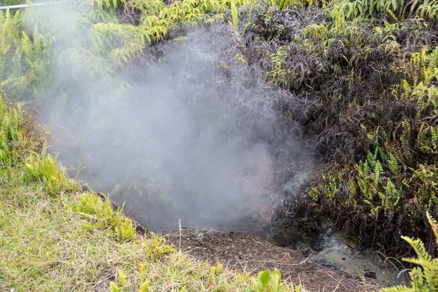 Kilauea: Volcanoes National Park Guided Hike - A guide-led lesson in volcanoes, plants, and culture