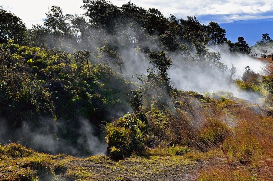 Kilauea: Volcanoes National Park Guided Hike - Finishing near Volcano House