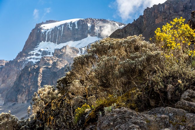 Kilimanjaro climb, Kilimanjaro Crater route (10-day) - Day 4: Lava Tower, 4,630 meters, and Moir Hut