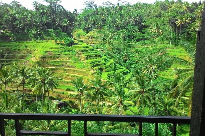 Kintamani Volcano View Tour - Mount Batur: the main volcano viewpoint