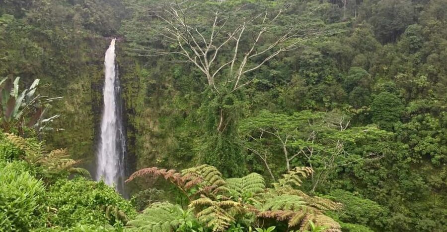 Kona: Big Island Big Volcano Adventure - Hilo and the route toward Kilauea