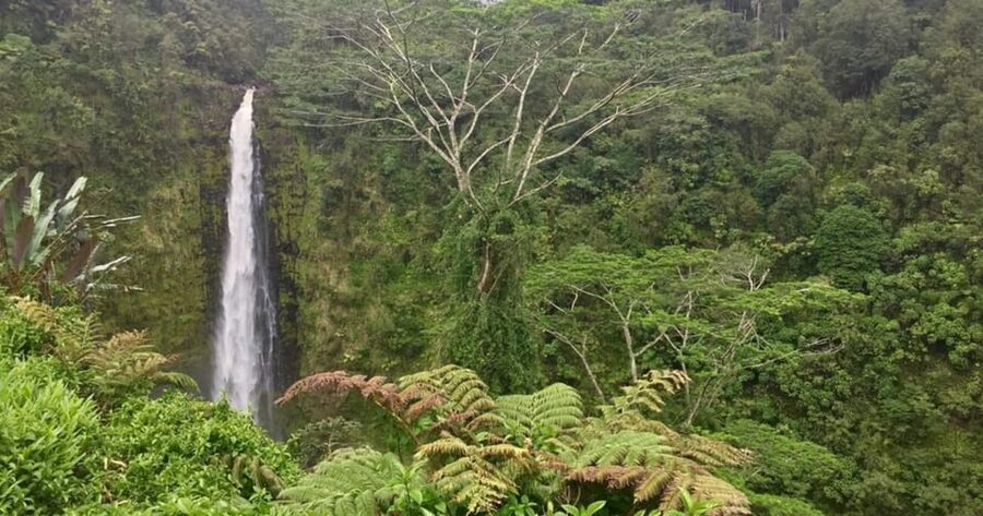 Kona: Big Island Big Volcano Adventure - What the $227 price gets you