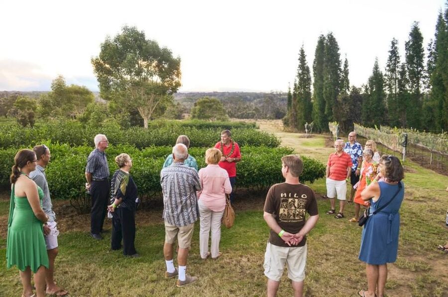 Kona: Hawaii Volcanoes National Park Tour - Key points at a glance