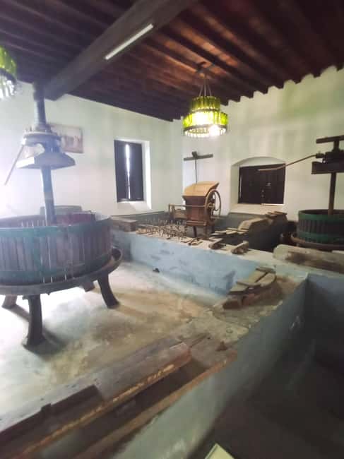 La Geria: a walk among volcanoes and vineyards - Beginning among vineyards and volcanic ash