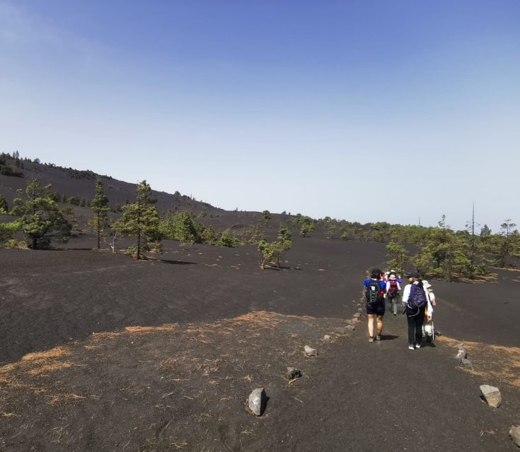 La Palma: Guided Tour to Tajogaite Volcano with Transfer - Key points before you book
