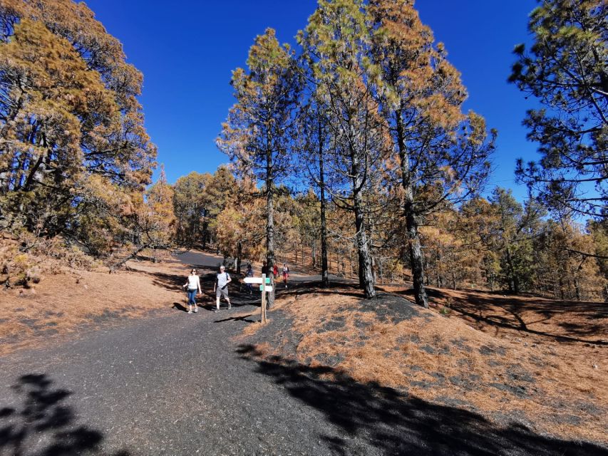 La Palma: Guided Tour to Tajogaite Volcano with Transfer - Who should book this volcano experience
