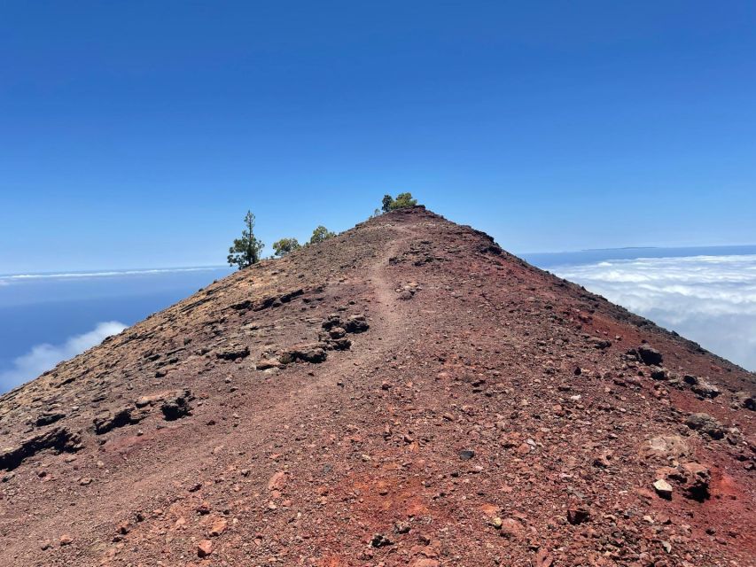 La Palma: Guided trekking tour to volcanoes south - Volcán de Martín and the final walk to Los Canarios