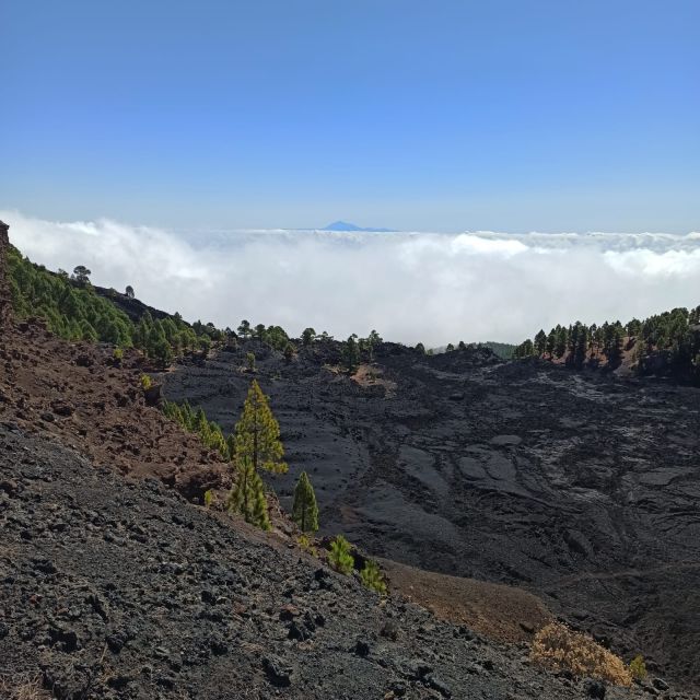 La Palma: Guided trekking tour to volcanoes south - Practical advice for making the day easier
