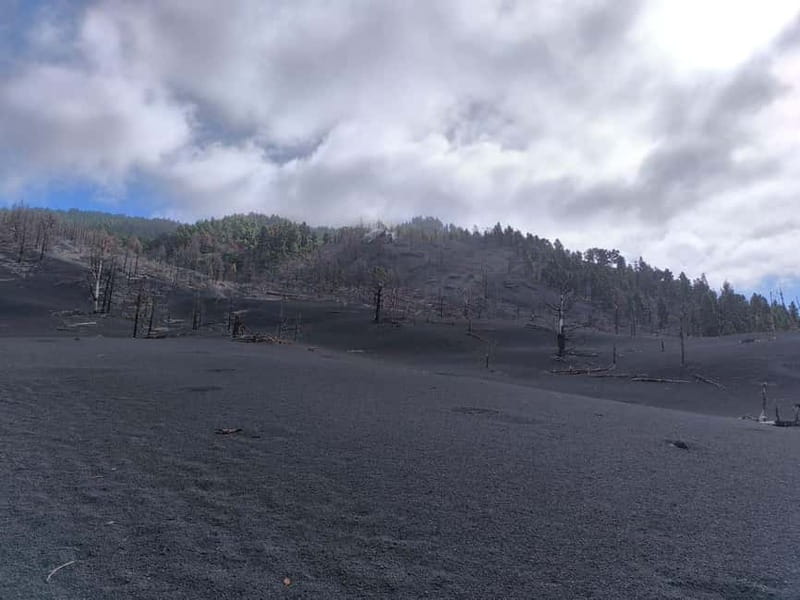 La Palma: Tajogaite Volcano Guided Hike - Why Tajogaite is worth the effort