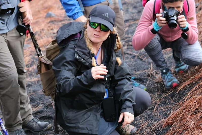 La Palma: Tajogaite Volcano Guided Hike - What Lucy adds to the walk