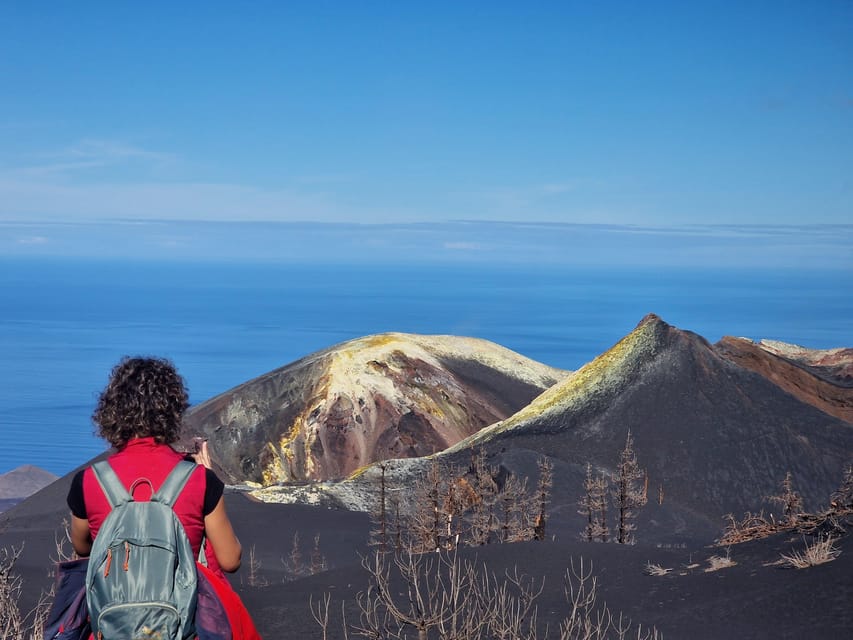 La Palma: Tajogaite Volcano Guided Trek - Why Tajogaite is such a powerful place to walk