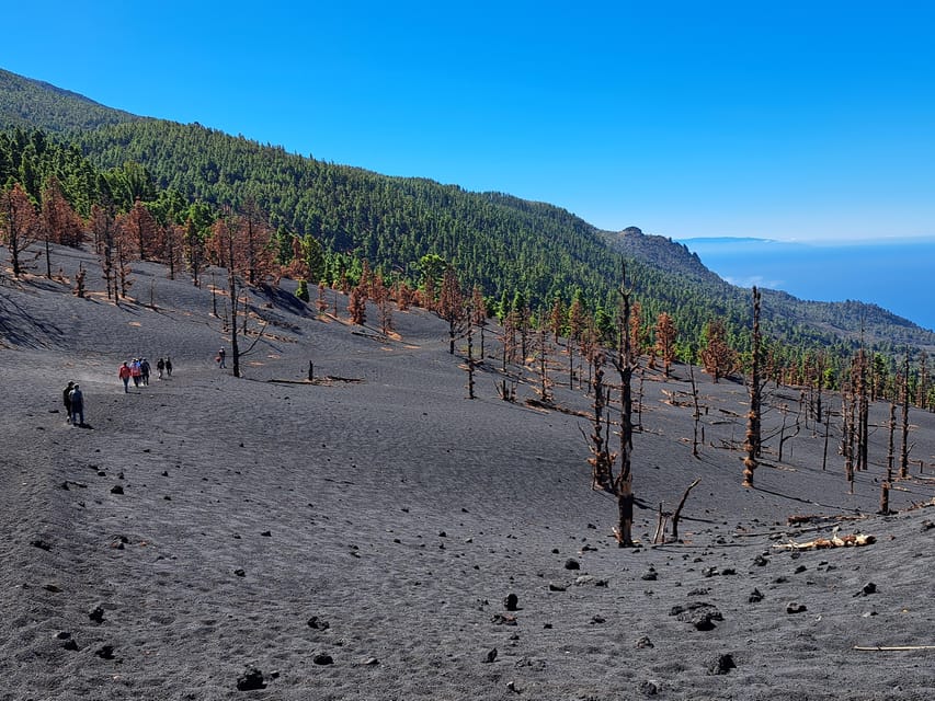 La Palma: Tajogaite Volcano Guided Trek - What you see on the 8-kilometer route