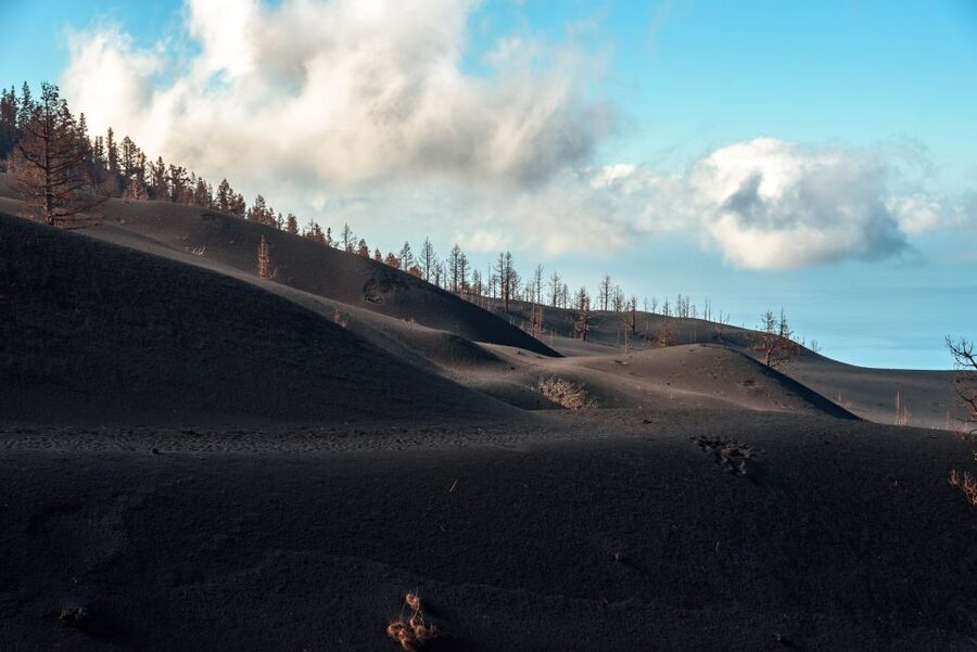 La Palma: Tajogaite Volcano Guided Trek - Is $45 a fair price?