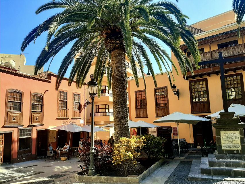La Palma Tour: Santa Cruz, Cumbrecita and Volcanic Landscape - El Paso, lunch, and the final pause