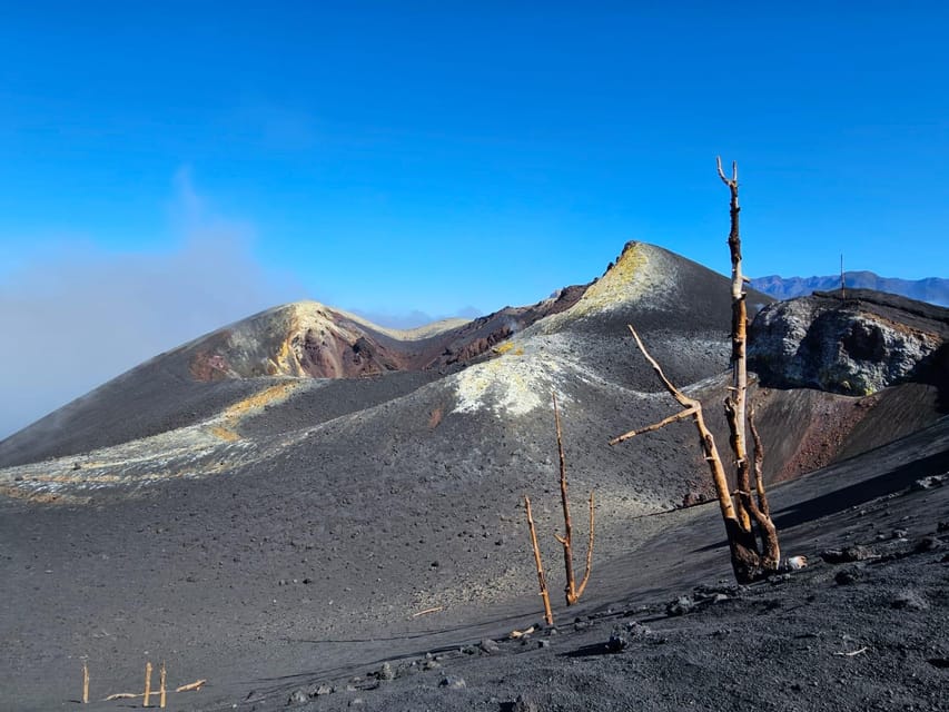 La Palma: Tour to the new Tajogaite volcano 360º. - Key points to know before booking
