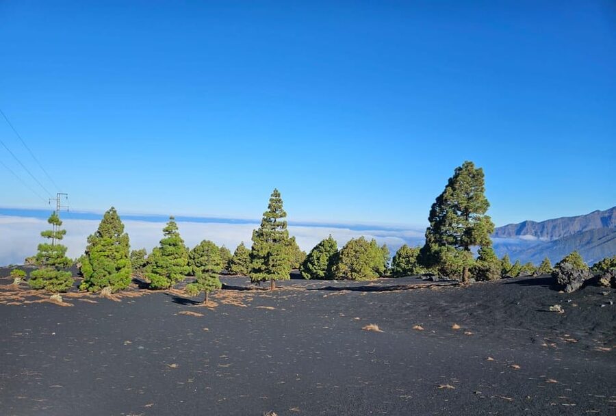 La Palma: Tour to the new Tajogaite volcano 360º. - The new crater viewpoint and changing angles