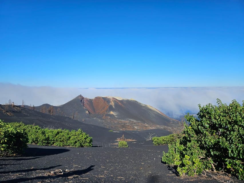 La Palma: Tour to the new Tajogaite volcano 360º. - Monitoring equipment and the first signs of recovery