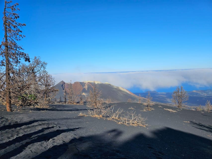 La Palma: Tour to the new Tajogaite volcano 360º. - Transport, timing, and group comfort