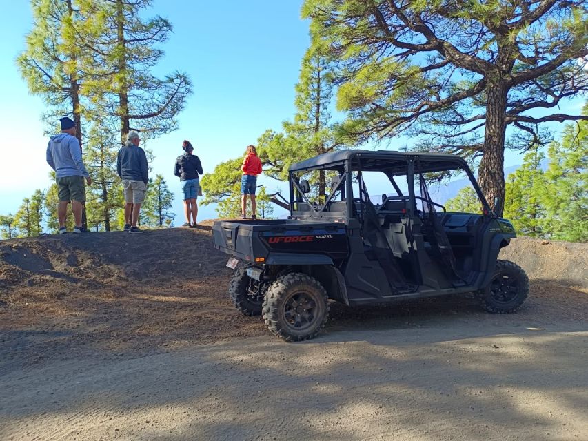 La Palma: Volcano Route Buggy Tour (Price Per Vehicle) 2 PAX - Entering Cumbre Vieja Natural Park