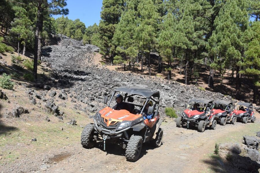 La Palma: Volcano Route Buggy Tour (Price Per Vehicle) 2 PAX - San Antonio and Teneguía near Fuencaliente