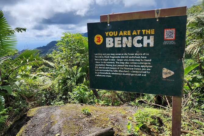 La Soufriere Volcano Adventure - Who should book this volcano hike