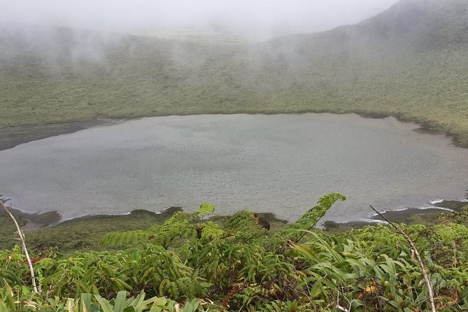 La Soufriere Volcano Adventure - Walking the rainforest route to La Soufriere
