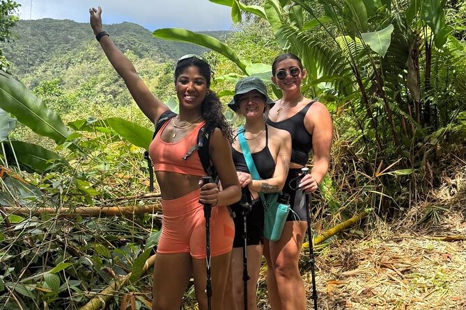 La Soufriere Volcano Hike /Topdawg Tours - The west-side continuation and route uncertainty