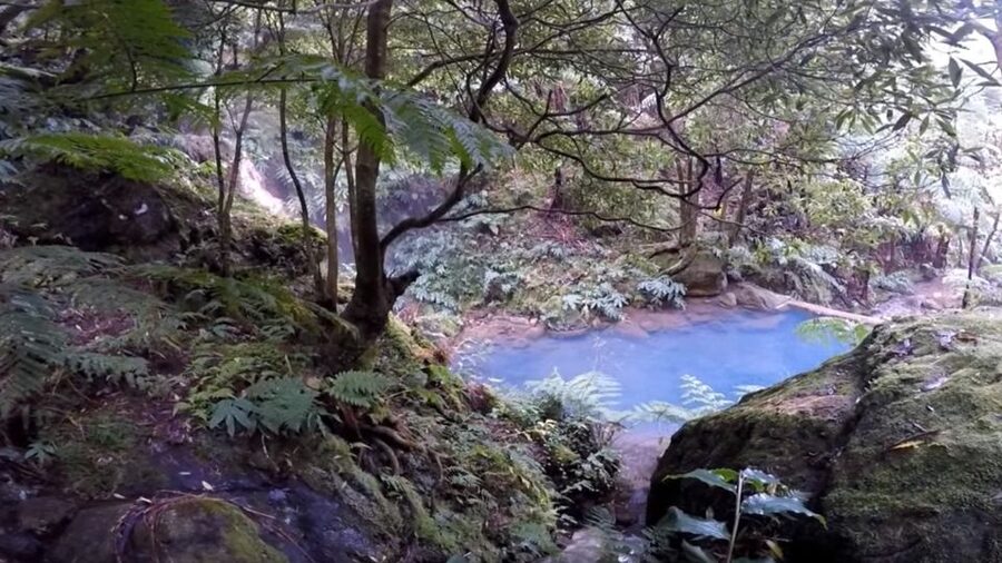 Lagoa do Fogo: Biologist-guided Volcano e-Tour +Hot Springs - Key points before you book