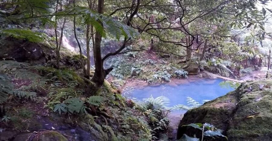 Lagoa do Fogo: Biologist-guided Volcano e-Tour +Hot Springs - Pico da Barrosa and Bela Vista viewpoints