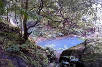 Lagoa do Fogo: Biologist-guided Volcano Geo Tour +hotsprings bath