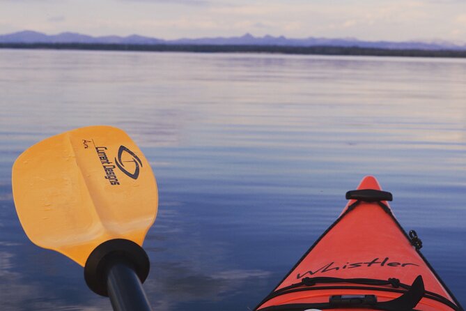 Lake Yellowstone Half Day Kayak Tours Past Geothermal Features - Paddling Yellowstone Lake and the southern shore