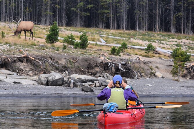 Lake Yellowstone Half Day Kayak Tours Past Geothermal Features - Seeing geothermal features from the lake