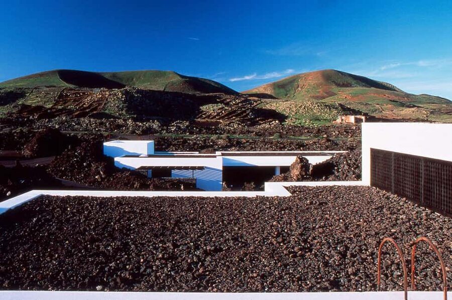 Lanzarote: 4x4 Volcanic North Landscapes Adventure - Guatiza: a quiet start among rural volcanic scenery
