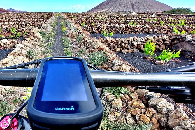 Lanzarote E-Bike Tour: Volcano Craters & Scenic Vineyards - Meeting up from Costa Teguise, Puerto del Carmen, or La Geria